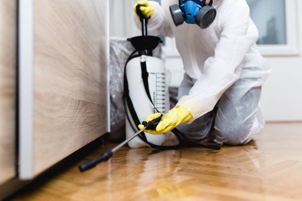 Best Bed Bug Extermination  in Greenwood, AR