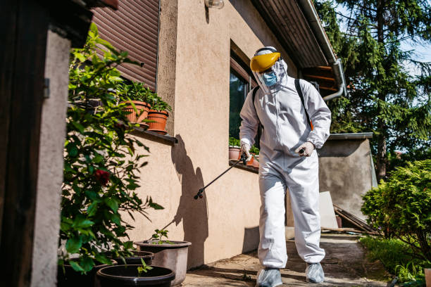 Best Flea Control Services  in Greenwood, AR