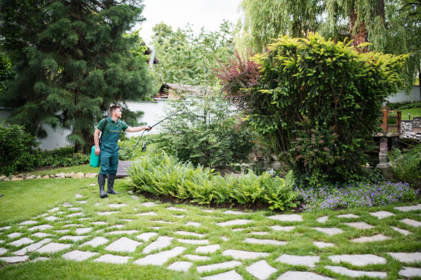 Best Local Pest Control Services  in Greenwood, AR