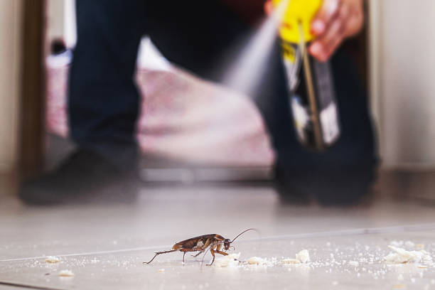 Pest Control for Restaurants in Greenwood, AR