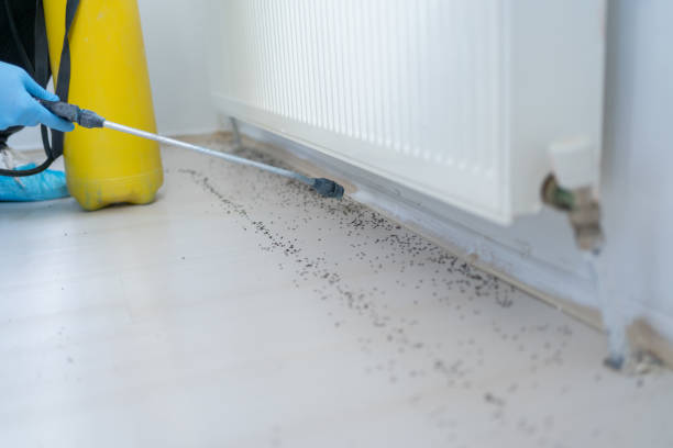 Trusted Greenwood, AR Pest Control Experts