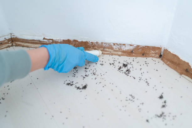 Best Best Pest Control Near Me  in Greenwood, AR