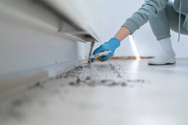 Best Pest Control Treatment  in Greenwood, AR