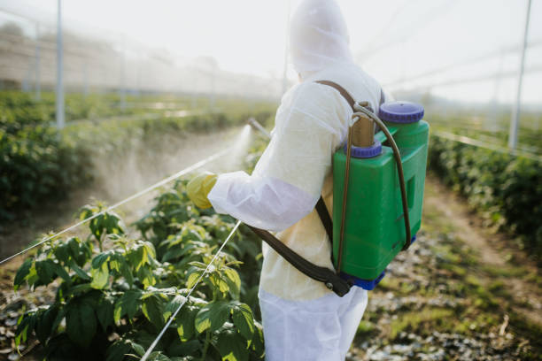 Best Residential Pest Control  in Greenwood, AR
